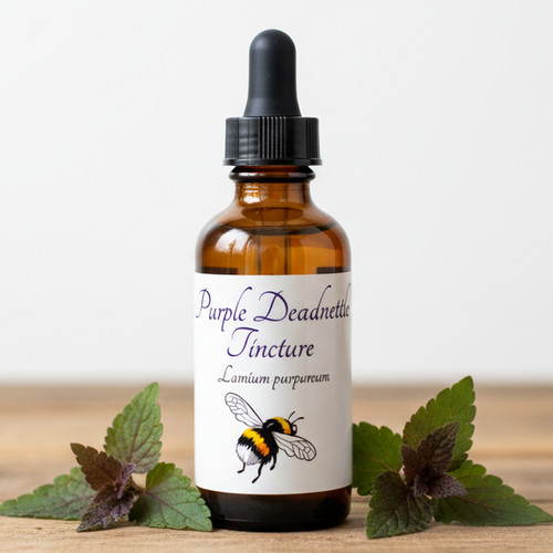 Purple deadnettle tincture - deadnettle,